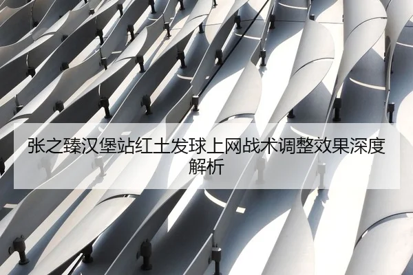 zhang-zhi-zhen-han-bao-zhan-hong-tu-fa-qiu-shang-wang-zhan-shu-tiao-zheng-xiao-guo-shen-du-jie-xi-3-679.jpg