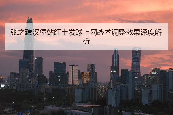 张之臻汉堡站红土发球上网战术调整效果深度解析
