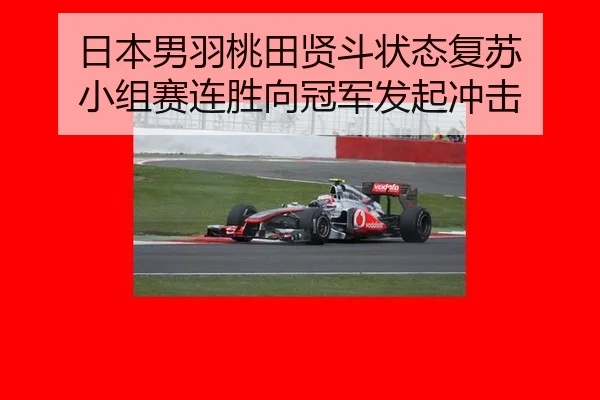 ri-ben-nan-yu-tao-tian-xian-dou-zhuang-tai-fu-su-xiao-zu-sai-lian-sheng-xiang-guan-jun-fa-qi-chong-ji-2-533.jpg