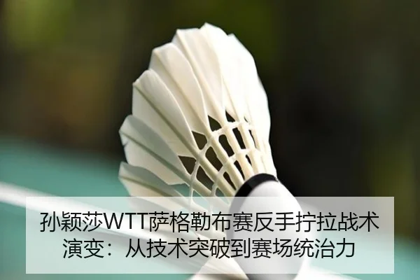 sun-ying-sha-sa-ge-lei-bu-sai-fan-shou-ning-la-zhan-shu-yan-bian-cong-ji-shu-tu-po-dao-sai-chang-tong-zhi-li-3-116.jpg