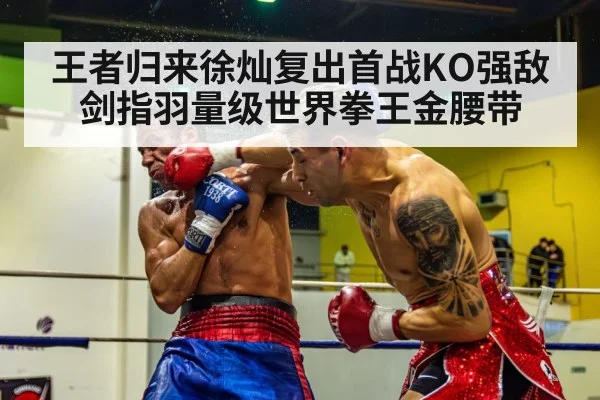 boxing knockout punch