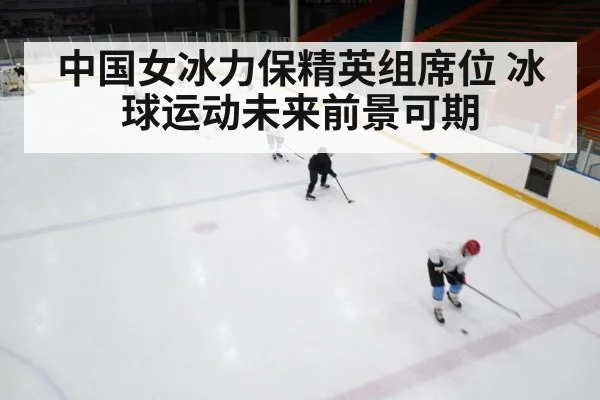 中国女冰力保精英组席位 冰球运动未来前景可期